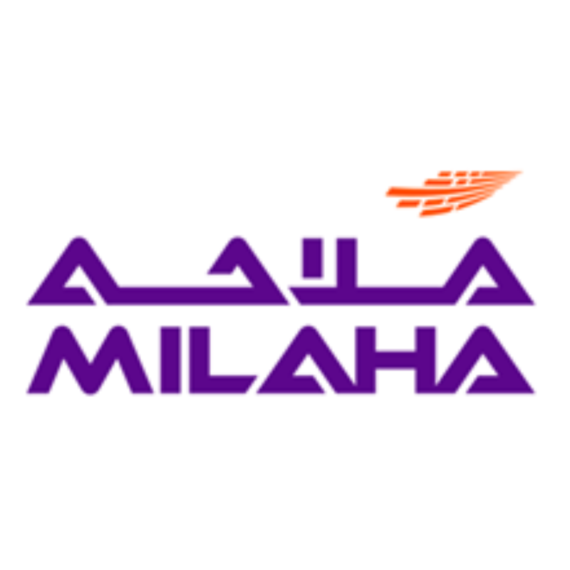 Logo 13